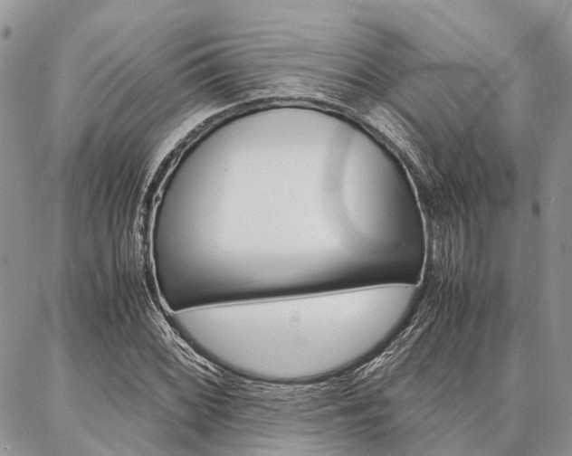 X0000087391068200704200922