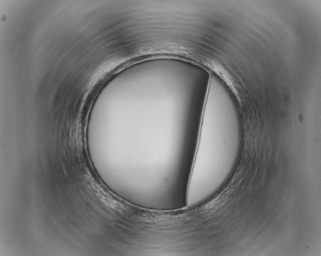 X0000087391072200704200922
