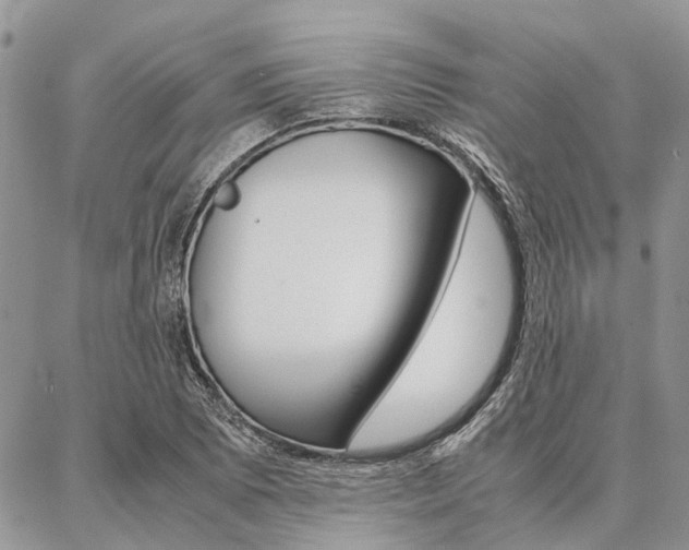 X0000087391073200704200922