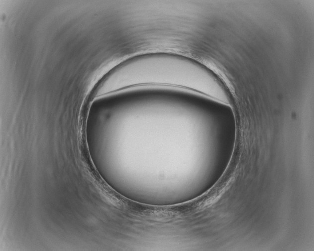 X0000087391077200704200922