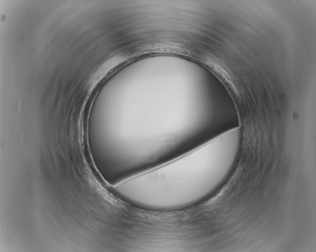 X0000087391082200704200922