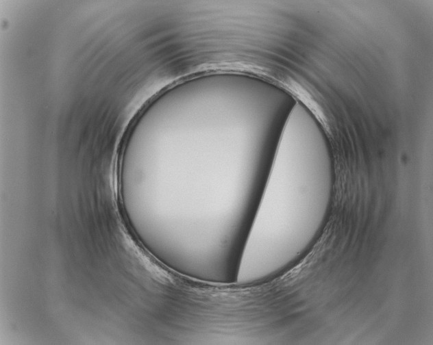 X0000087391084200704200922