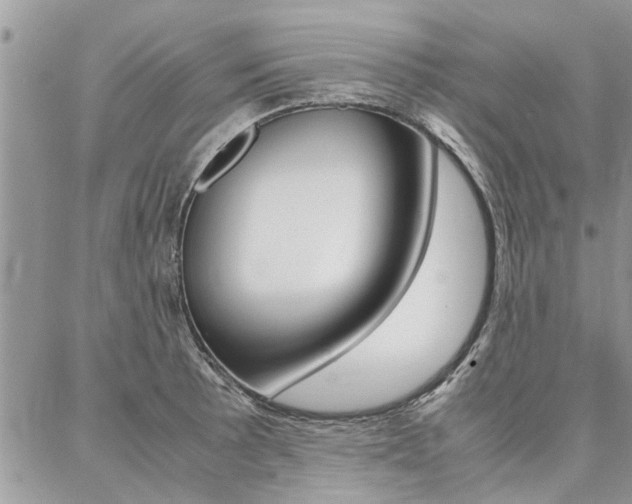 X0000087391089200704200922