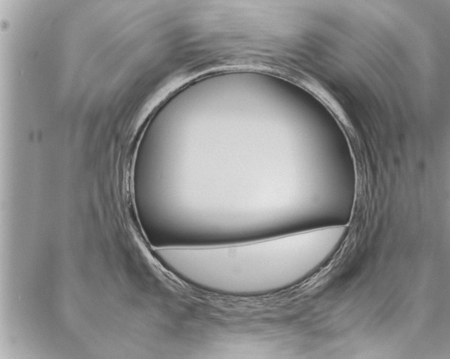 X0000087391101200704200921