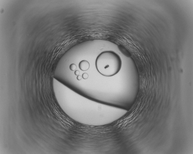 X0000087391106200704200921