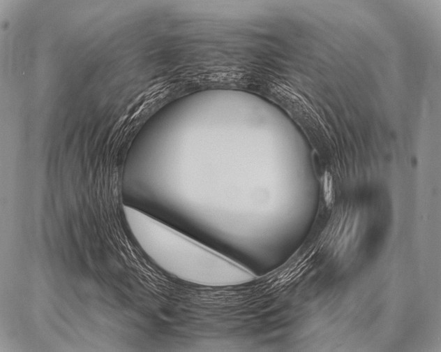X0000087391107200704200921