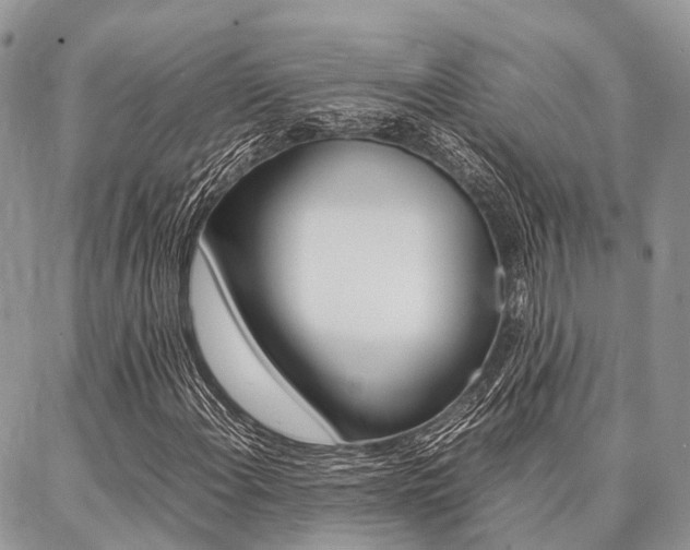 X0000087391108200704200921