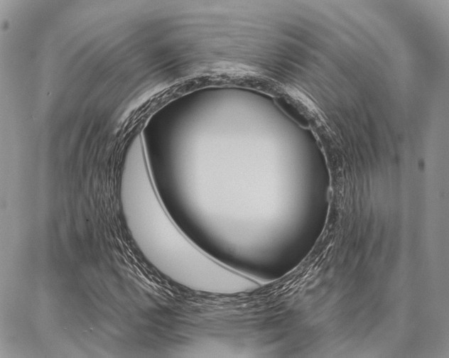 X0000087391112200704200921