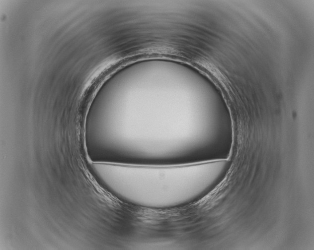 X0000087391115200704200921