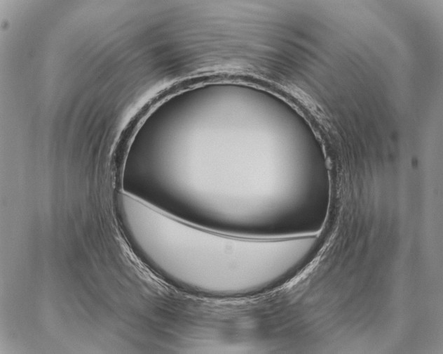 X0000087391118200704200921