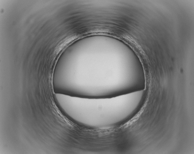 X0000087391121200704200921