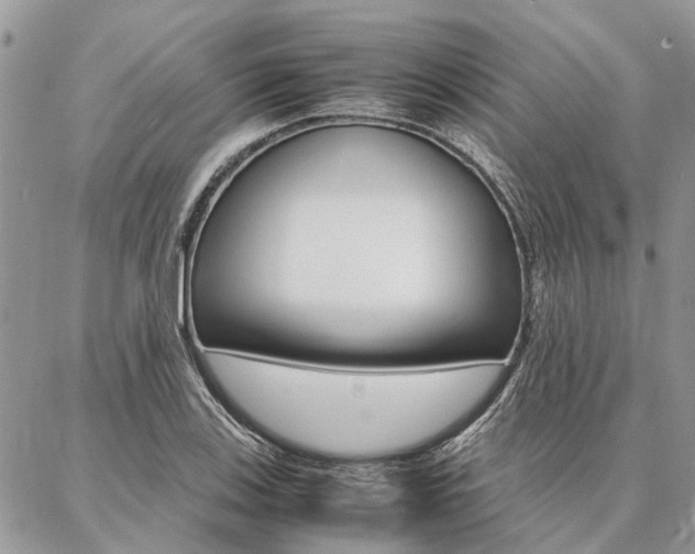 X0000087391123200704200921