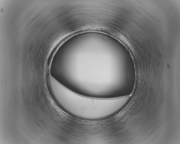 X0000087391124200704200921