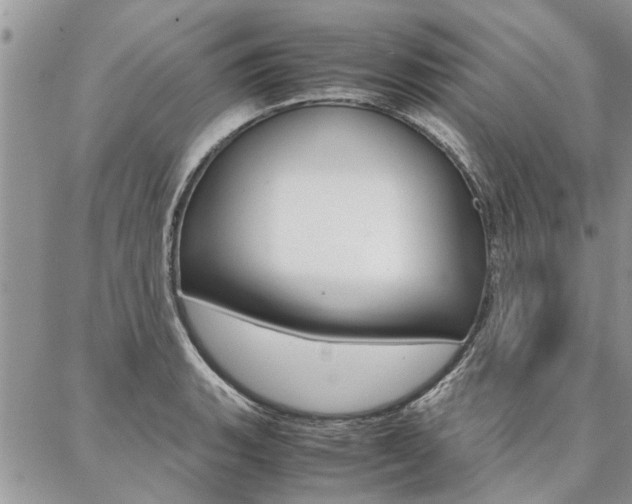 X0000087391135200704200921