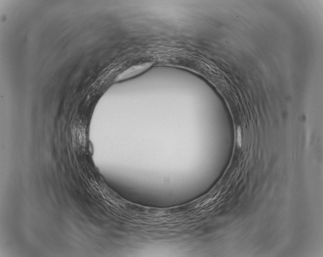 X0000087391155200704200921