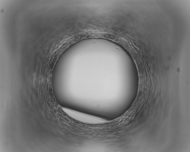 X0000087391157200704200921