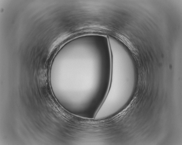 X0000087391164200704200920