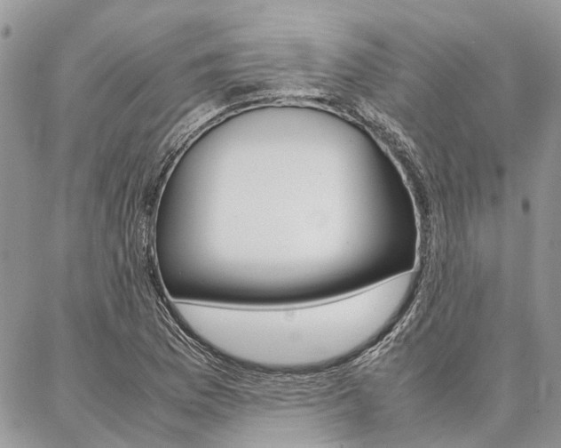 X0000087391169200704200920