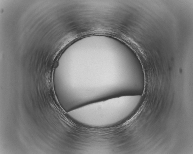 X0000087391170200704200920
