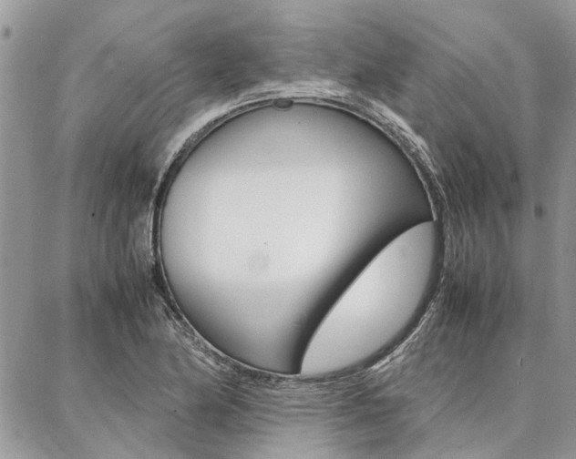 X0000087391174200704200920