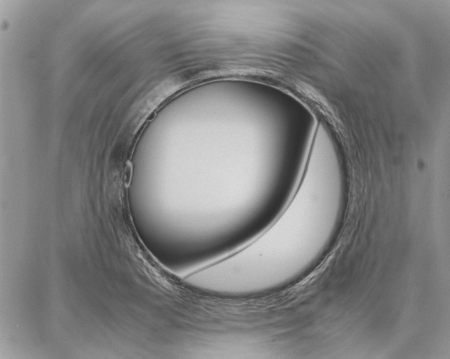 X0000087391177200704200920