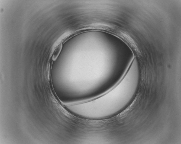 X0000087391180200704200920