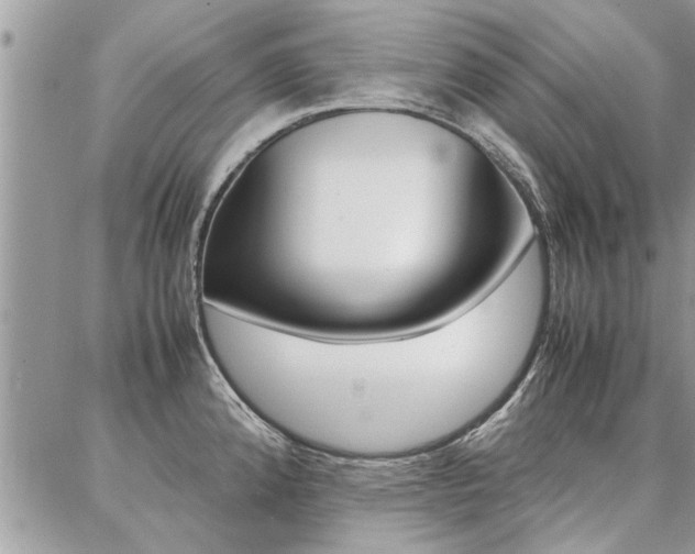 X0000087391192200704200920