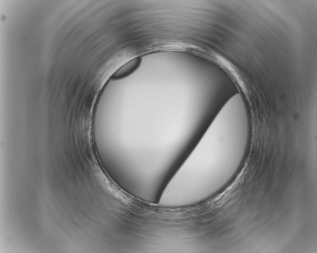 X0000087391194200704200920