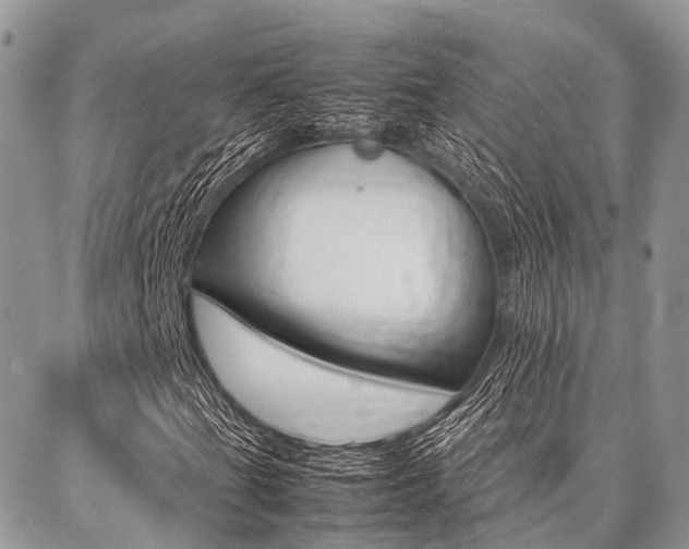 X0000087391201200704200919