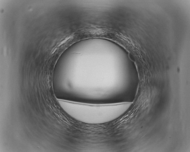 X0000087391205200704200919