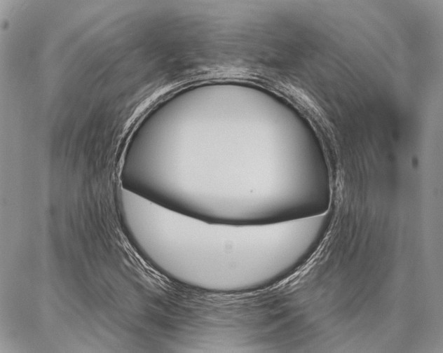 X0000087391212200704200919