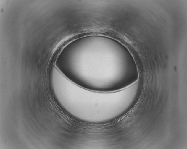 X0000087391214200704200919