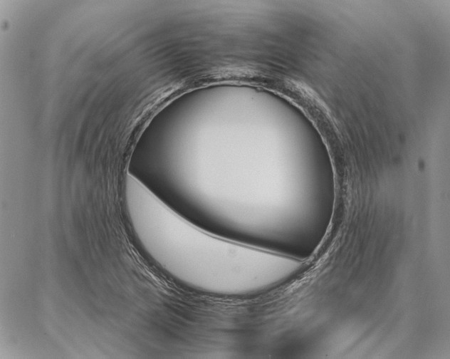 X0000087391217200704200919