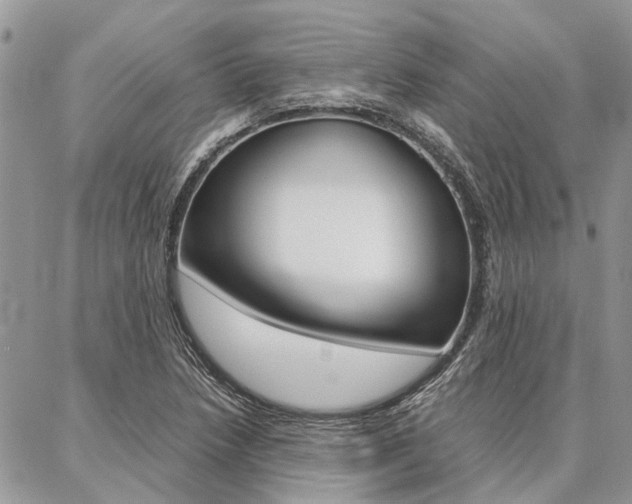 X0000087391218200704200919