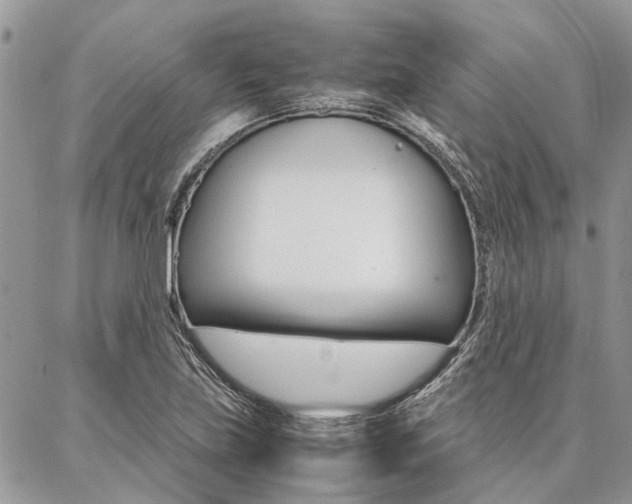 X0000087391219200704200919