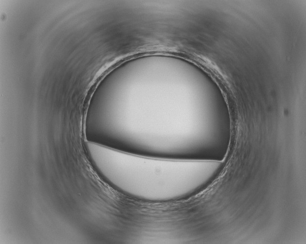 X0000087391220200704200919