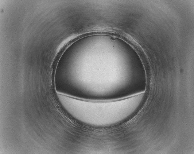 X0000087391222200704200919