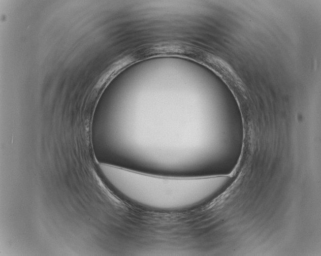 X0000087391225200704200919
