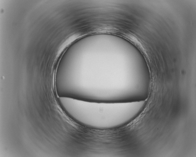 X0000087391227200704200919