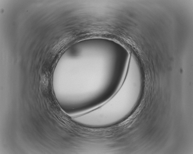 X0000087391257200704200919