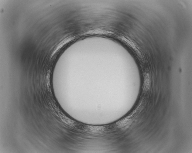 X0000087391258200704200919