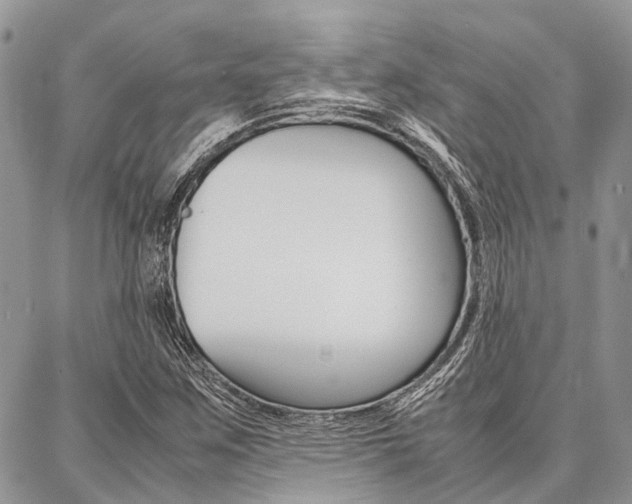 X0000087391259200704200919