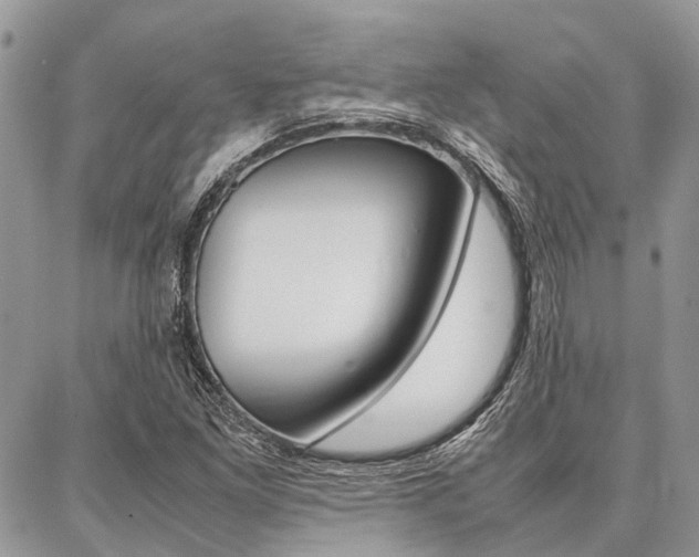 X0000087391261200704200919