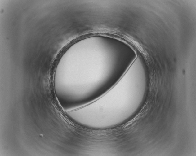 X0000087391264200704200919
