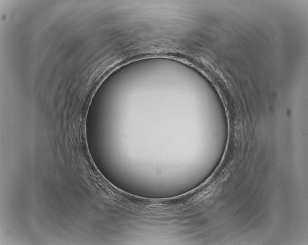 X0000087391265200704200919