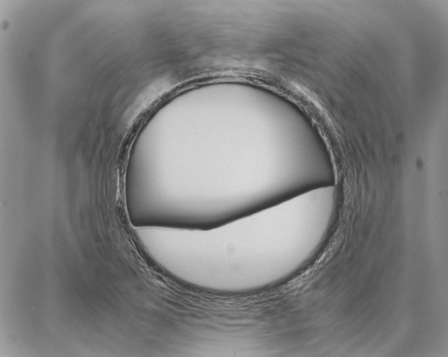 X0000087391267200704200919