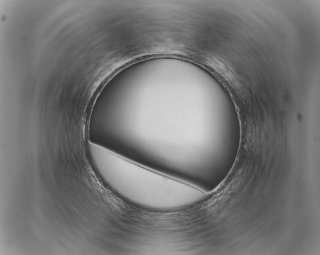 X0000087391268200704200919