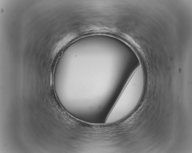 X0000087391269200704200919