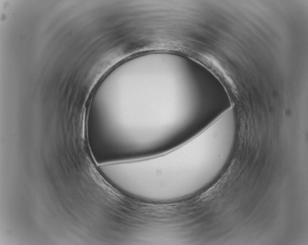 X0000087391276200704200919