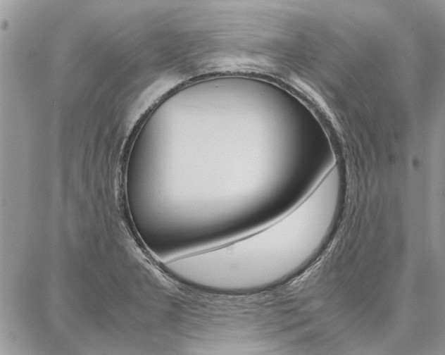 X0000087391277200704200919